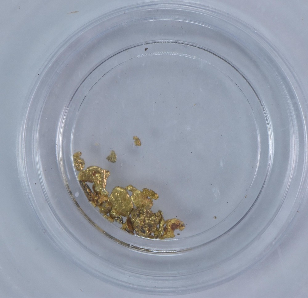 ND 0.25 Grams Gold Nugget Authentic ICG