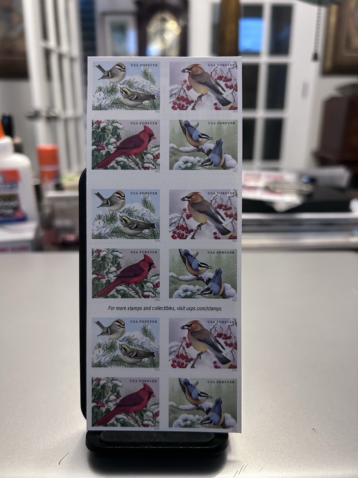 Mint US Songbirds in Snow Booklet Pane of 100 Forever Stamps Scott