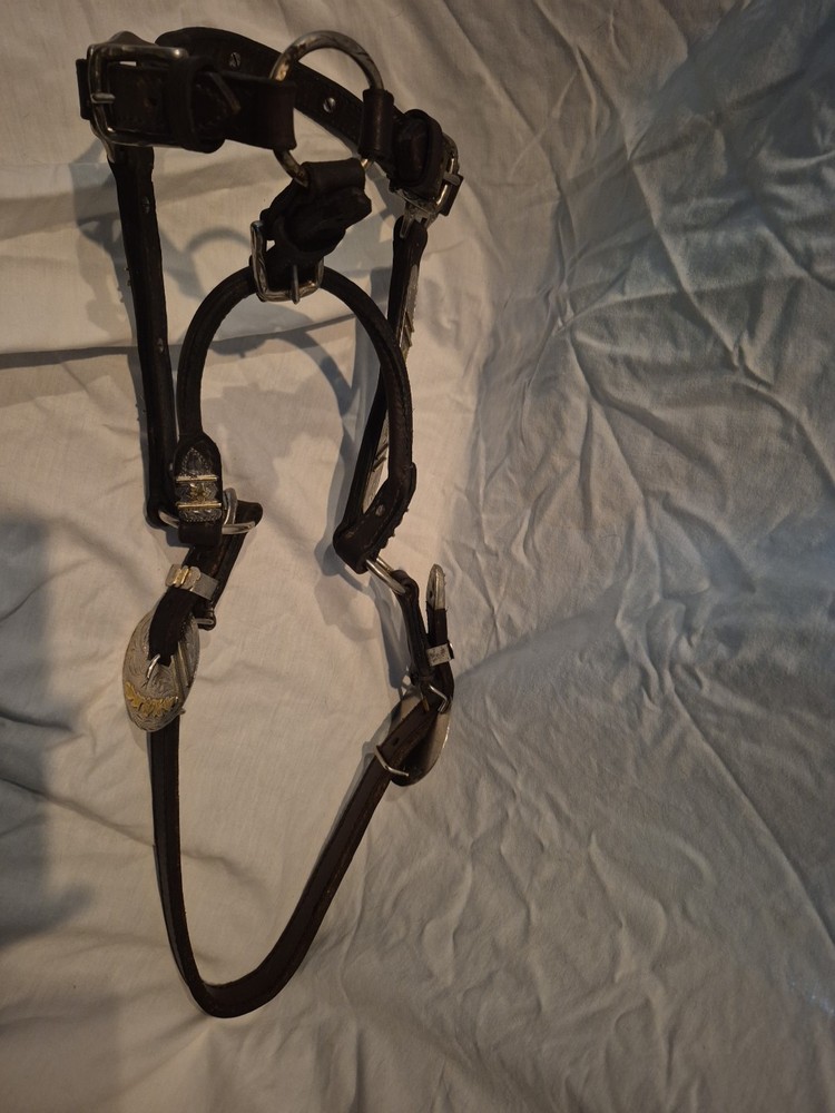 Western Full Size Show Halter