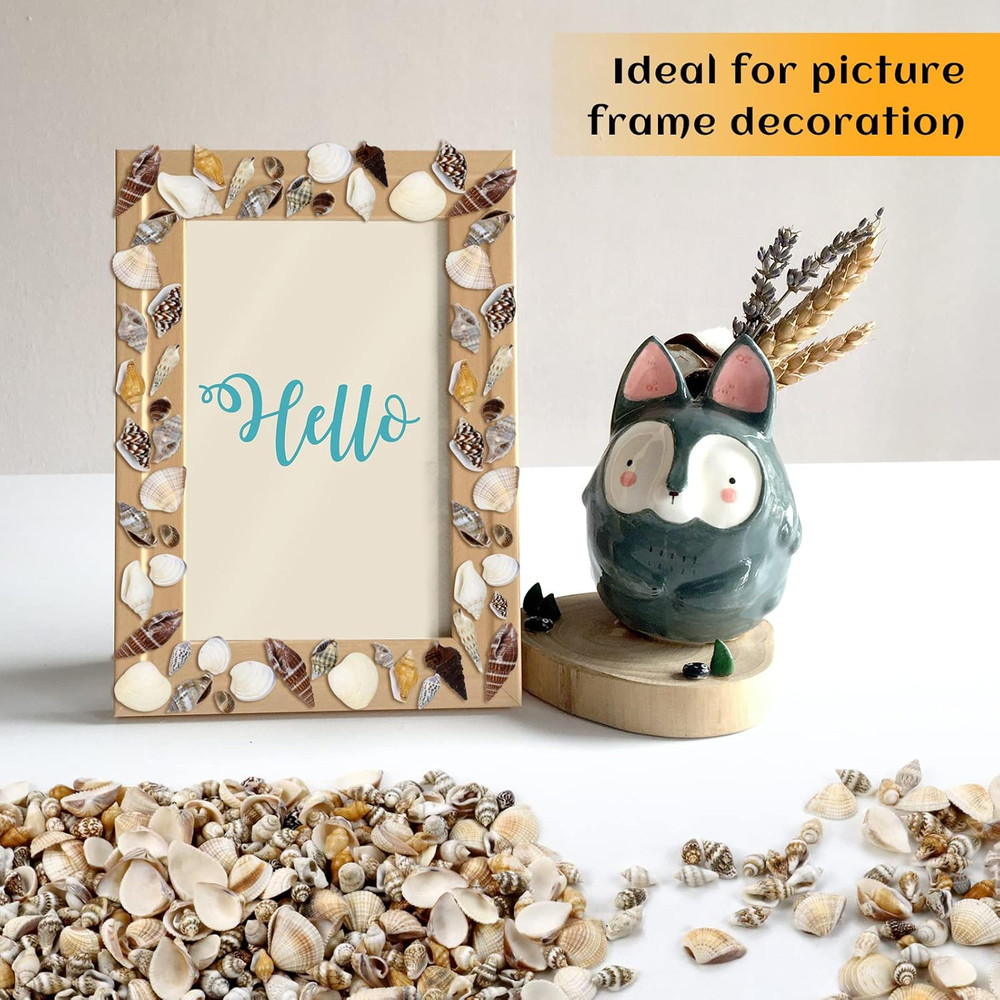 1500 Pcs Small Shells For Crafts,Small Sea Shells For Crafting,Mini Seashells...
