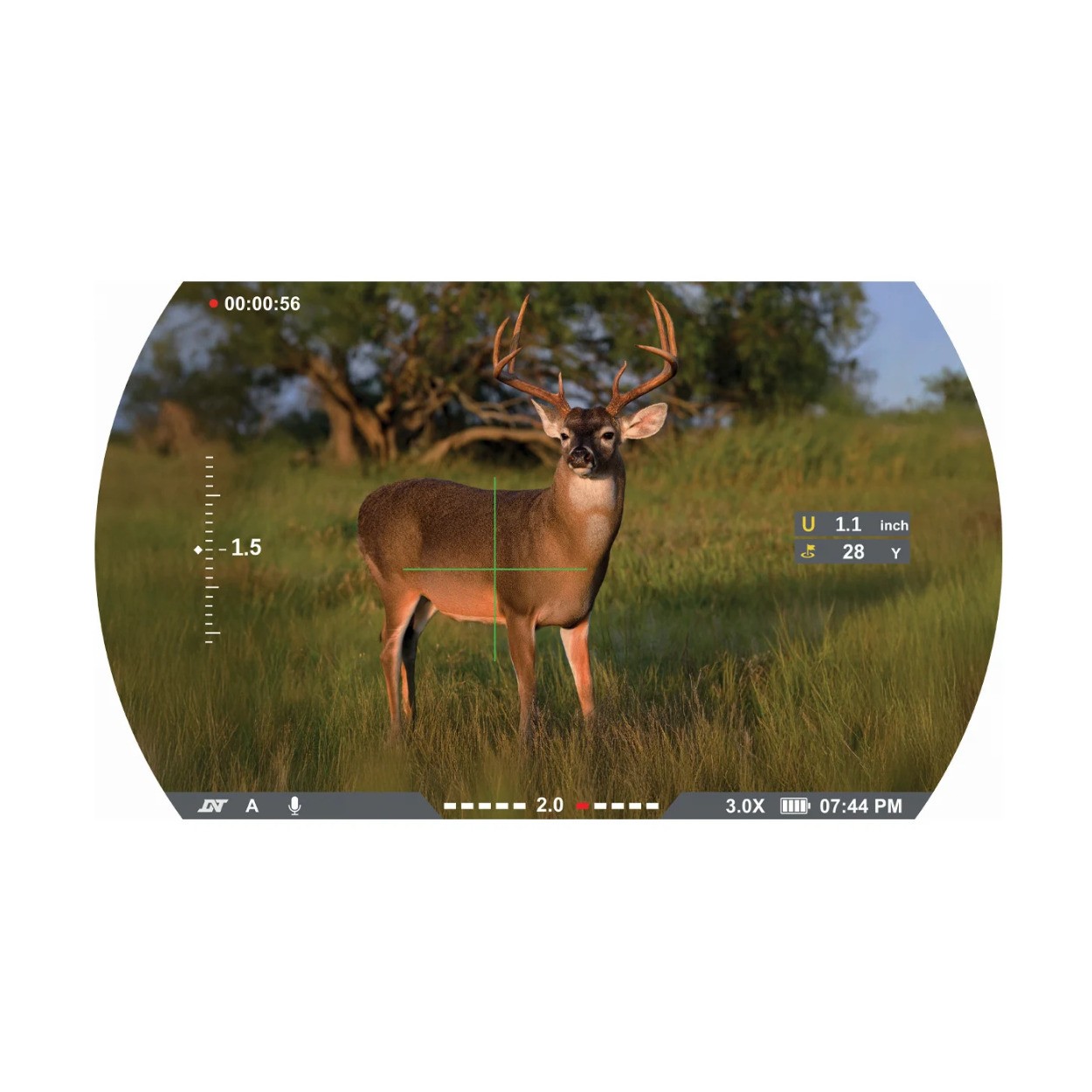 TenPoint Vision HD 3-12X Digital Rangefinding Crossbow Scope