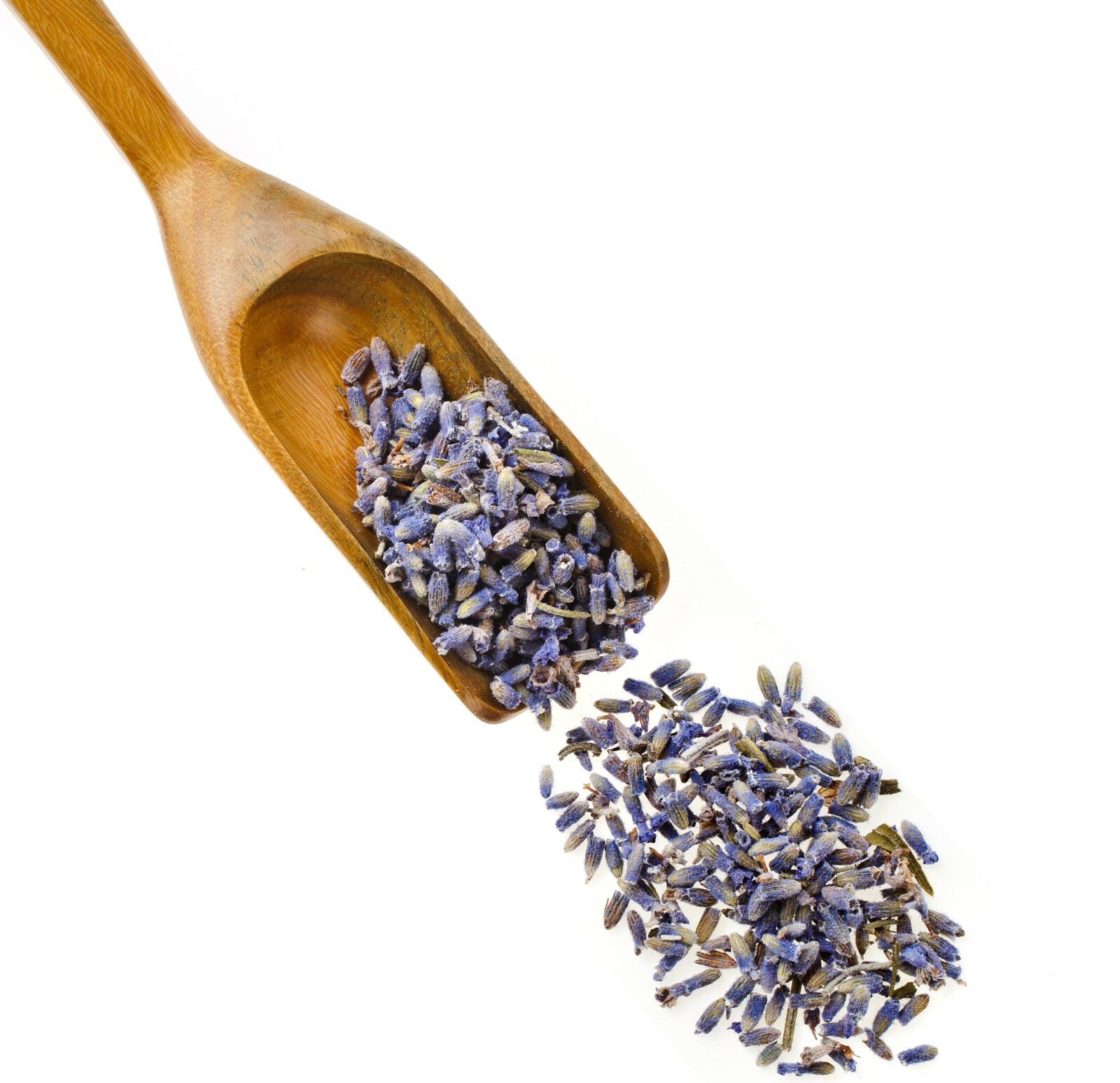 Lavender Flower Buds Dried Fresh Bulk Wholesale Lavandula Angustifolia