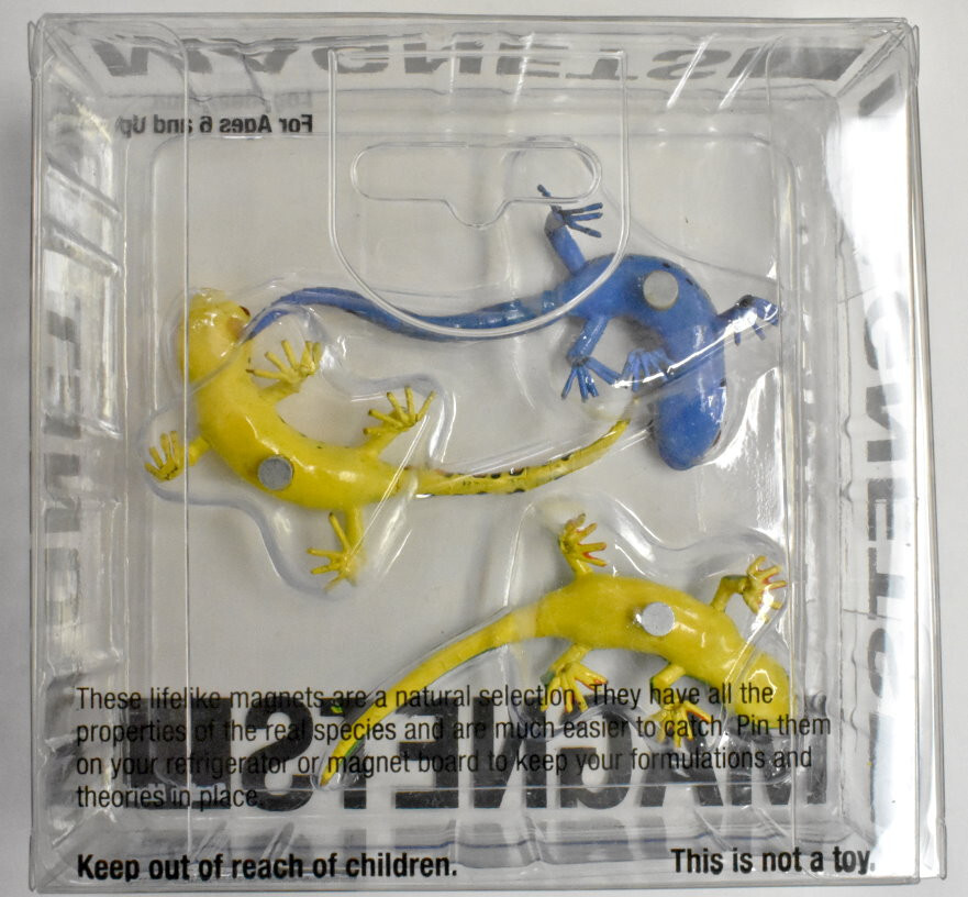 Design Ideas Mini Magnets - Lizards