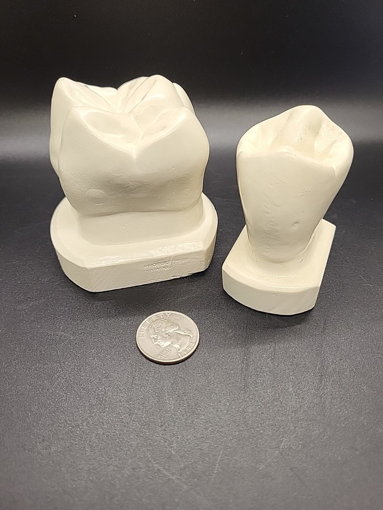 Two Weird Tooth Models 1970's