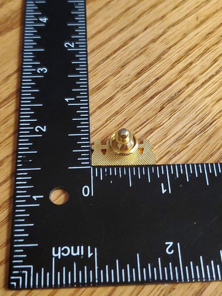 Montessori School Teaching Pin H2