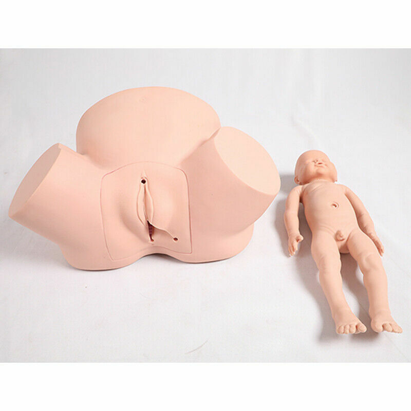 Midwifery Training Simulator,Advanced Vacuum Delivery Simulator