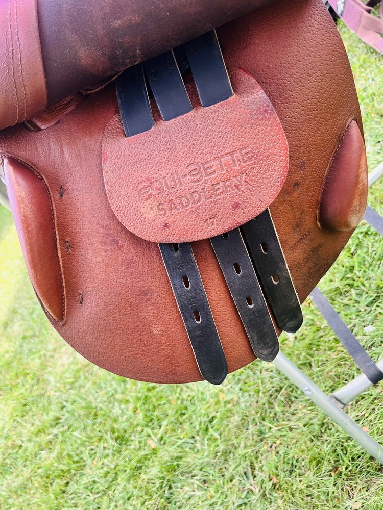 Equi-bette Jump Saddle