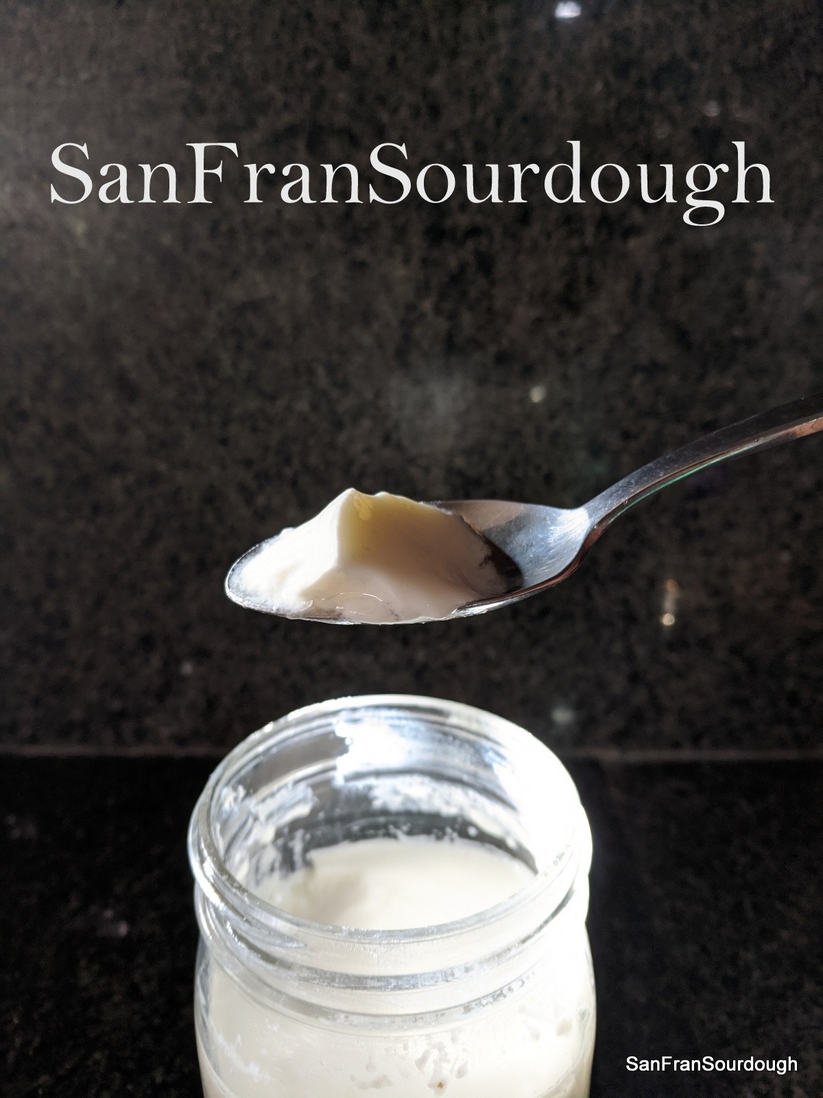 Viili Culture Yogurt Starter Mesophilic room temperature dried starter