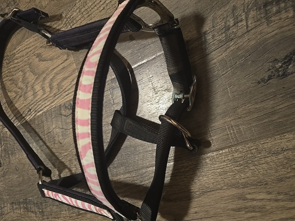 Horse Halter