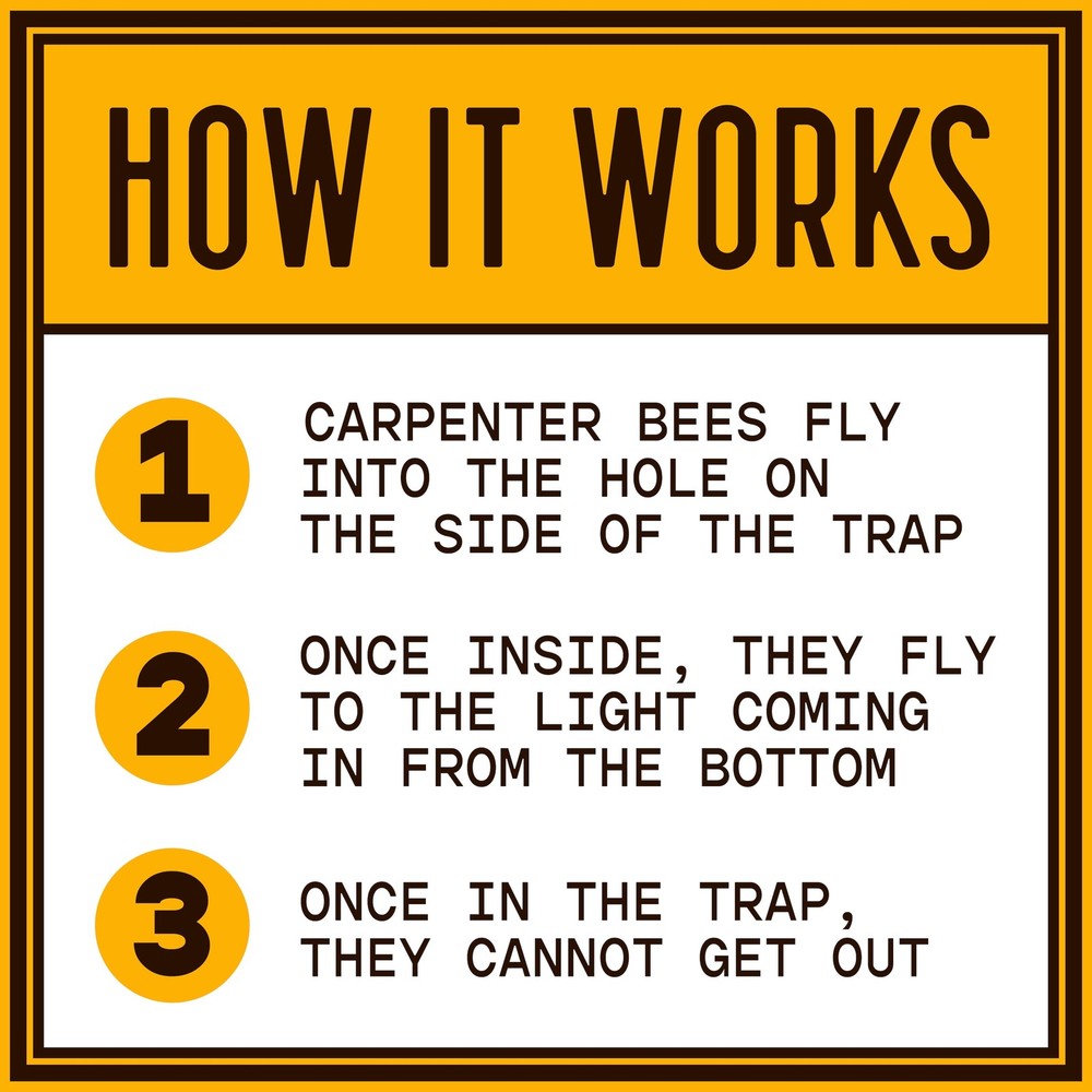 Bees N Things Outdoor Carpenter Bee Trap