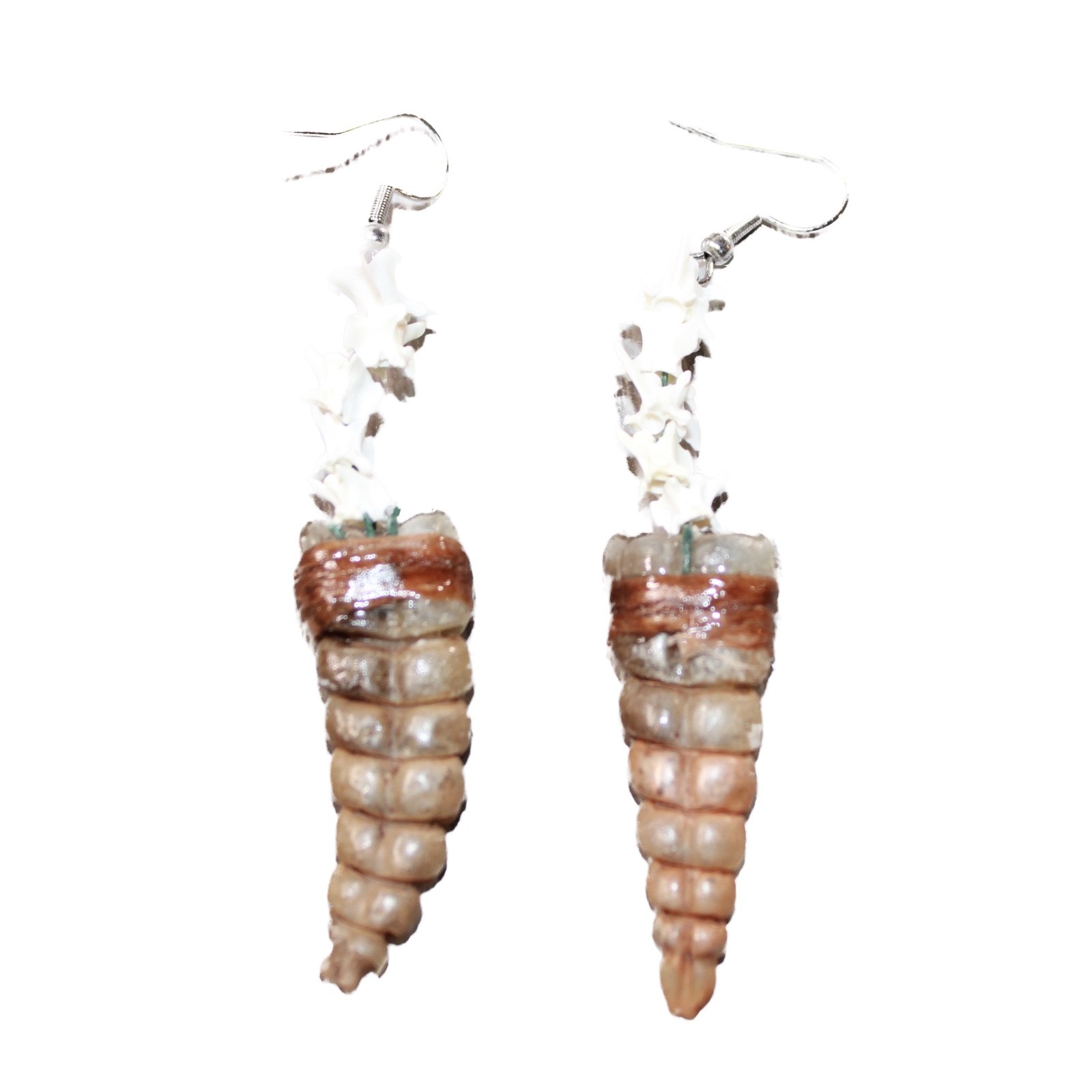 Rattlesnake Rattle Plus Vertebrae Earrings #4663 Mountain Man Earrings