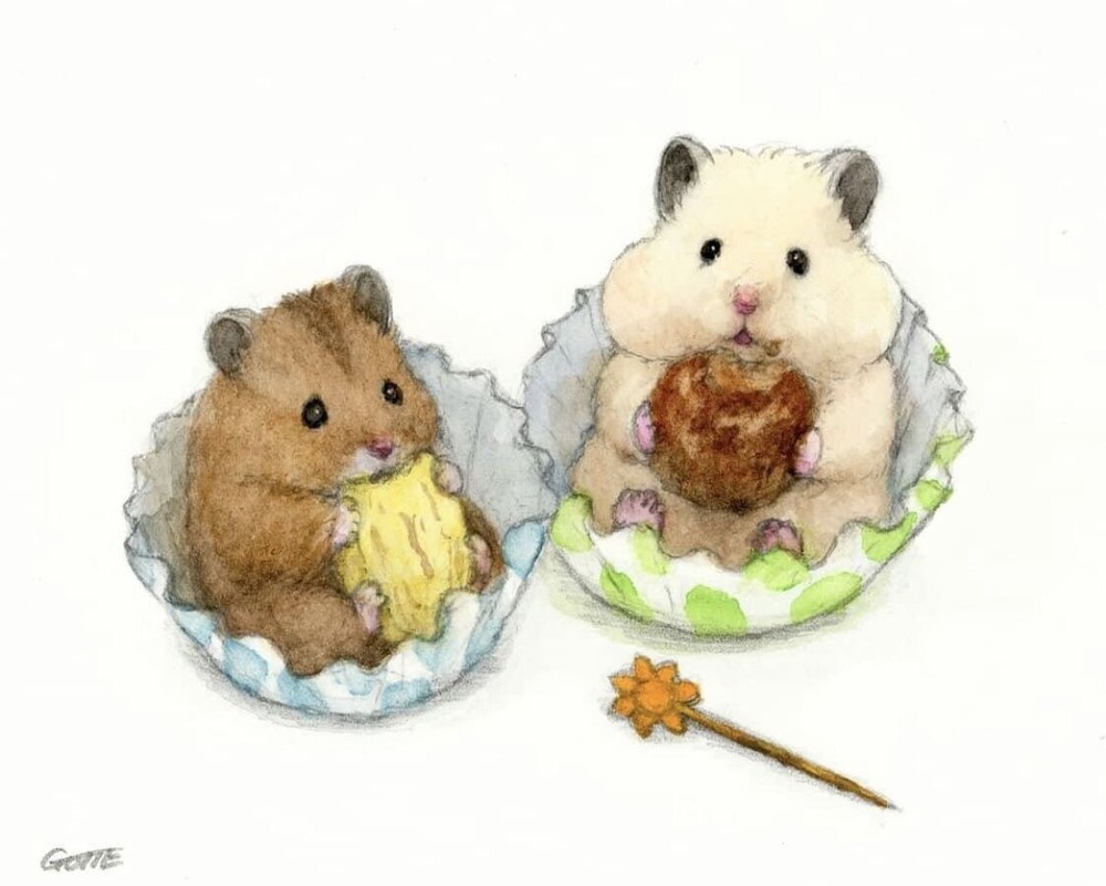 🍓🫐Hamster Snack Box🍓🫐