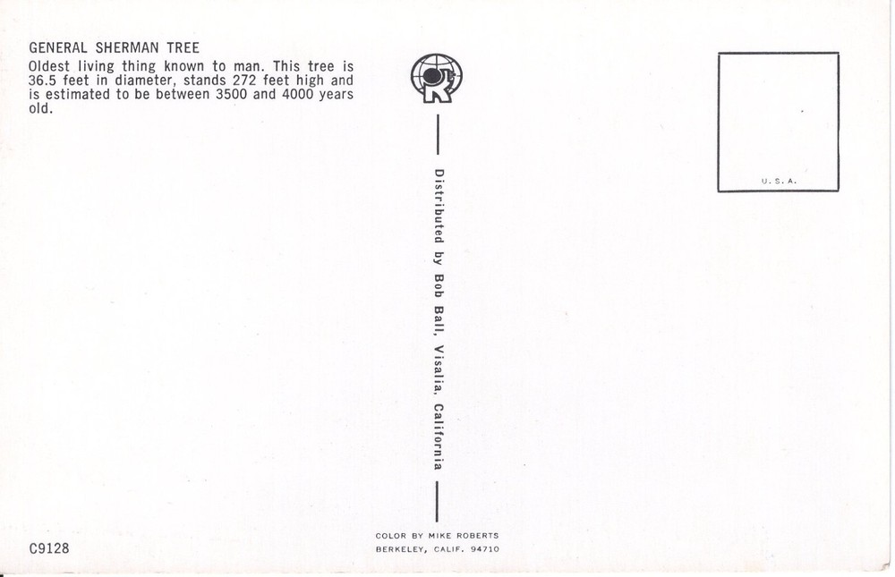 GENERAL SHERMAN TREE - PC1275