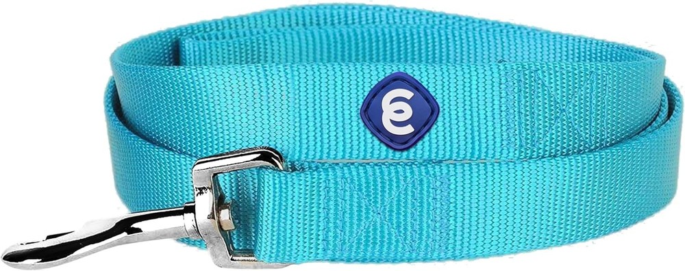 Dog Leash Essentials for Small Dogs