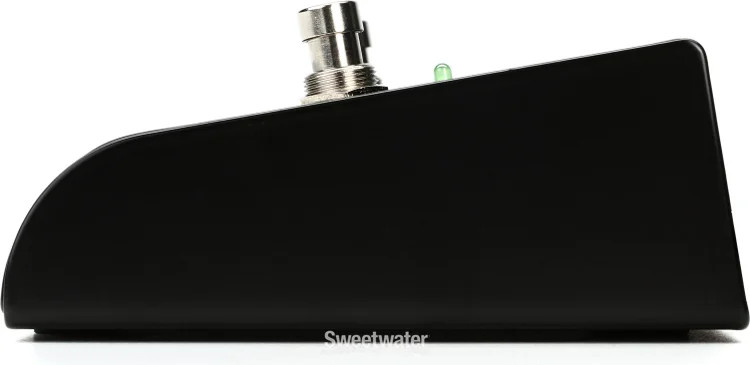 Fishman Dual Footswitch for Loudbox Amplifiers