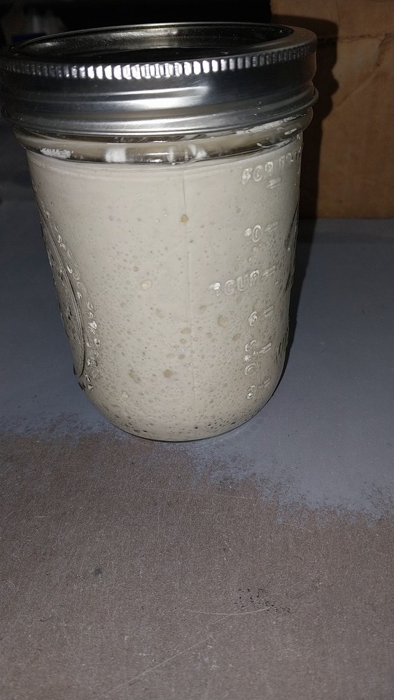 Dehydrated Sourdough Starter Baking Agent 15g