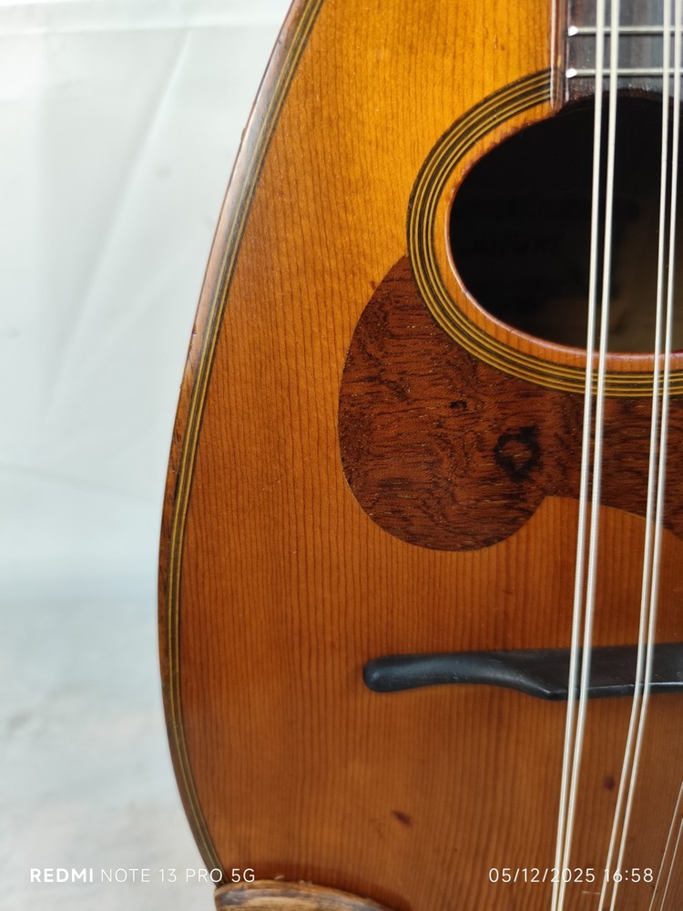 Suzuki Model M-30 4/4 Mandolin 曼陀林 만돌린マンドリン