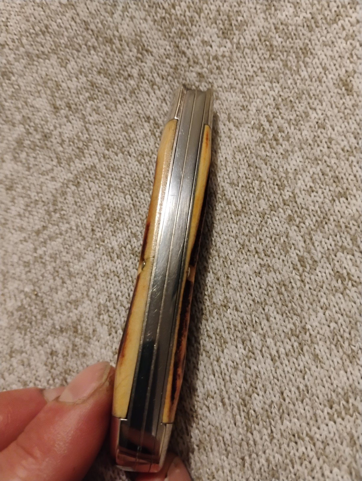 1976 CASE XX 5254 SSP STAG RAZOR EDGE TRAPPER