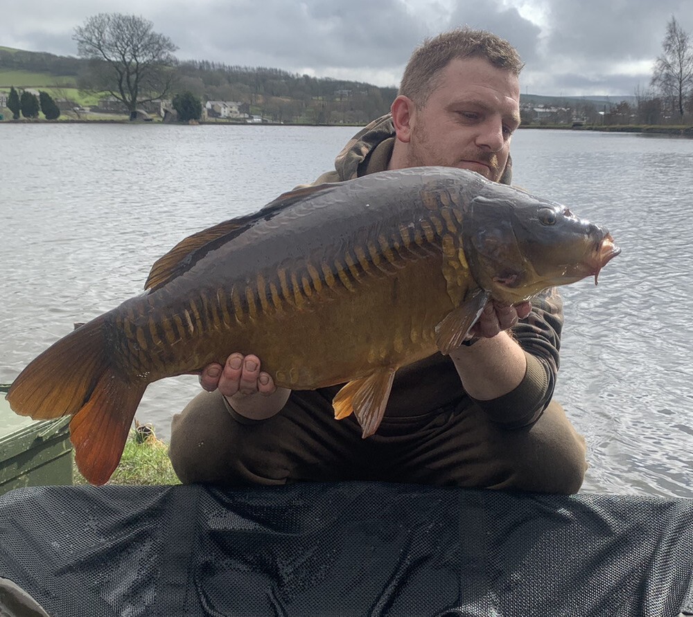 Ronnie Rigs / Spinner rigs x3 - Using Korda Components and a Nash Claw Hook