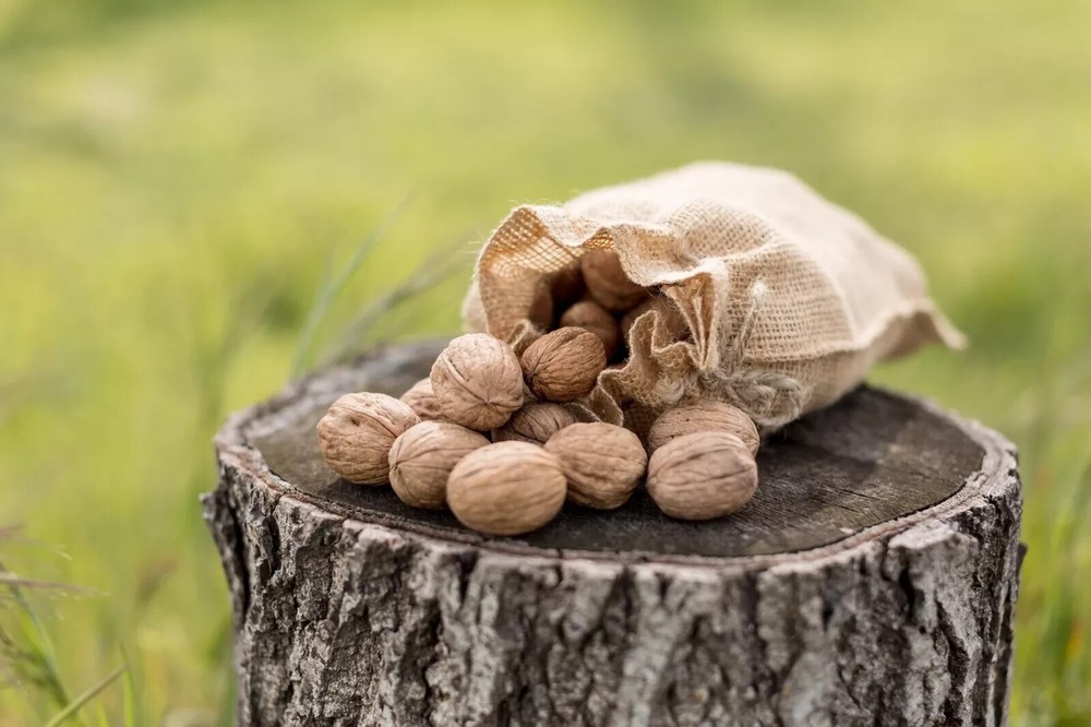 Raw In-Shell Walnuts Whole 16oz, see description