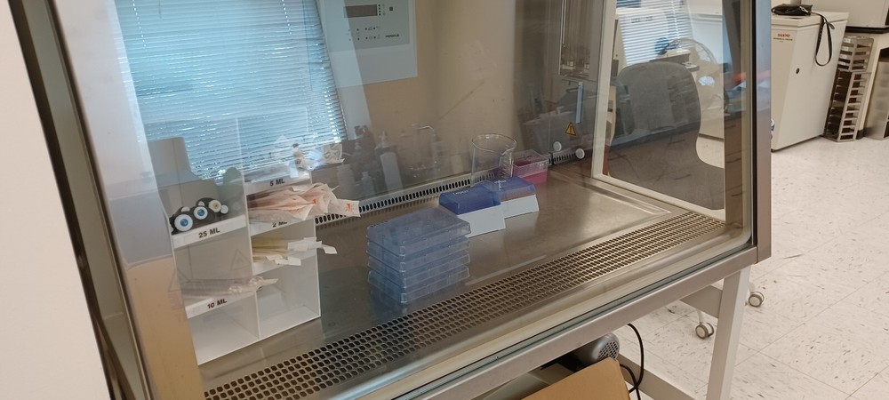Hera SAFE Kendro KS12 Biosafety Cabinet