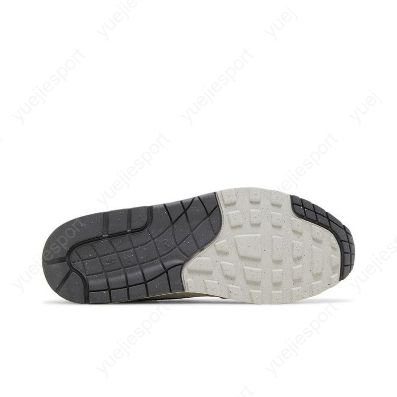 Nike Air Max 1 Light Bone Iron Grey HJ3498-007