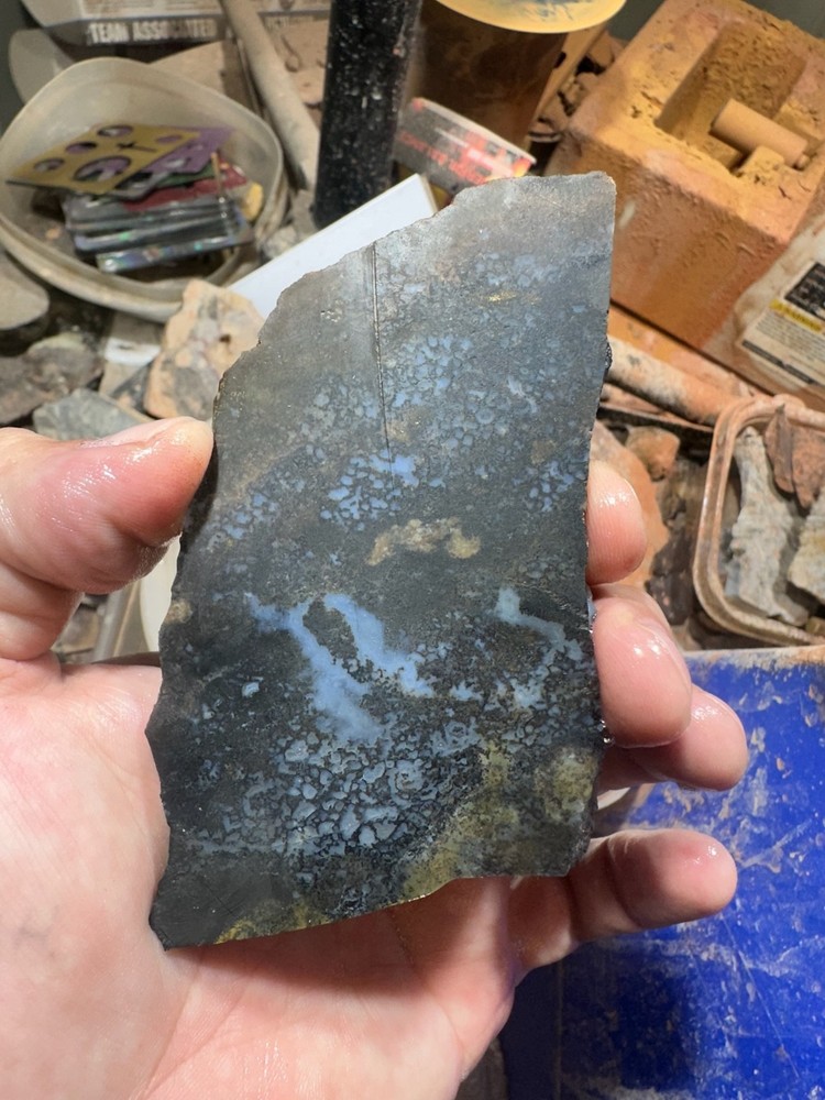 Dinosaur bone rough slab.
