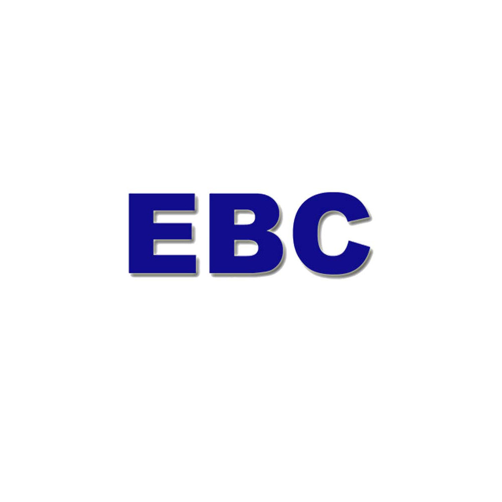 SILICONE BRAKE FLUID EBC 250CC DOT5 BF005