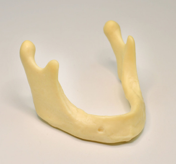 Dental Mandible Jaw Model for Basic Drilling Implant Insertion Practice 10PCS