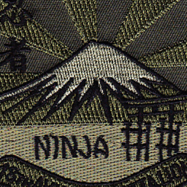 78th Aviation Battalion Patch OD