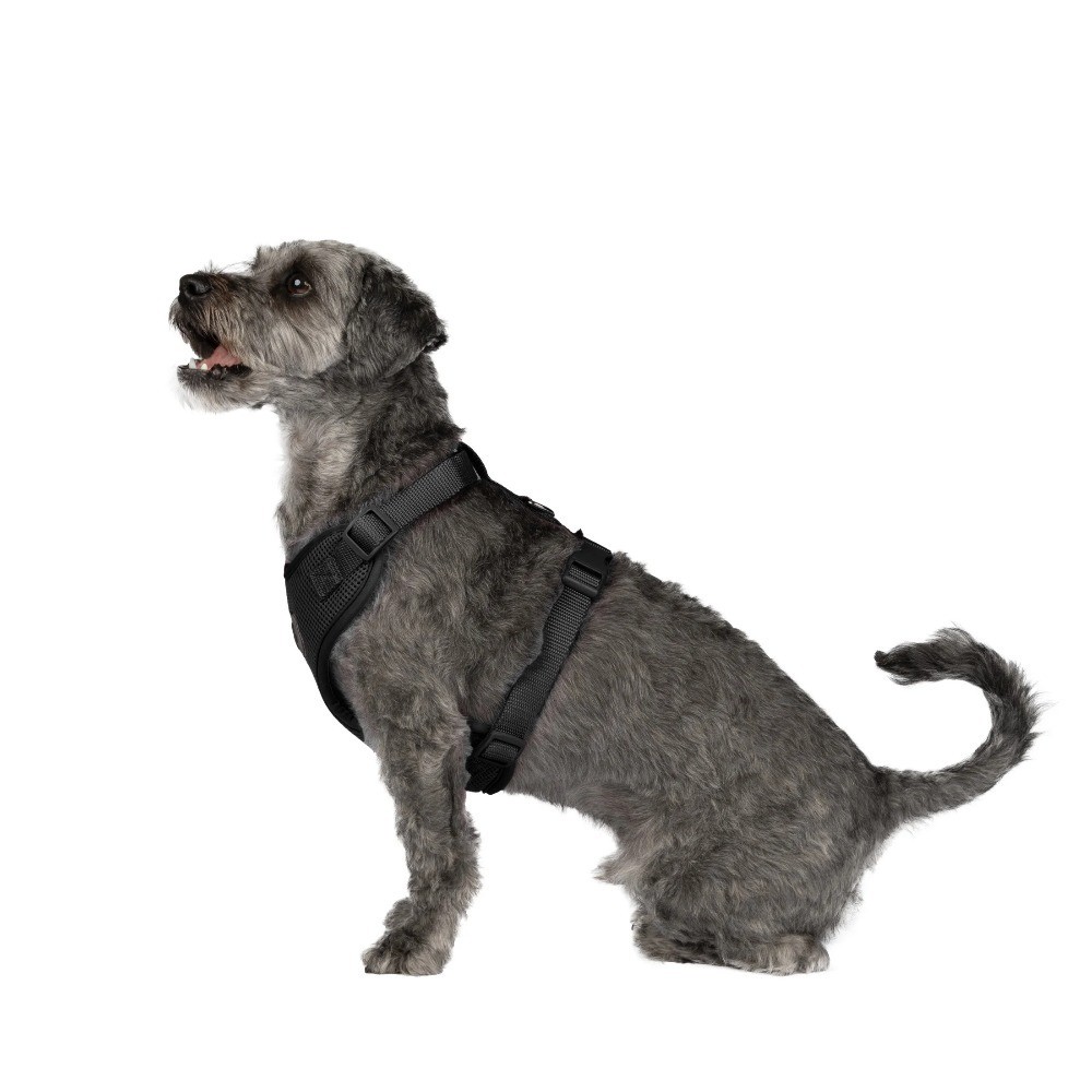 Adjustable Reflective Mesh Dog Harness for Walking Small Black