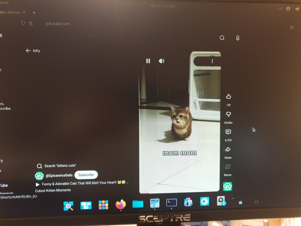 Linux Pop OS V24.04 LTS, 64-bit, Bootable Live and Install USB Flash Drive