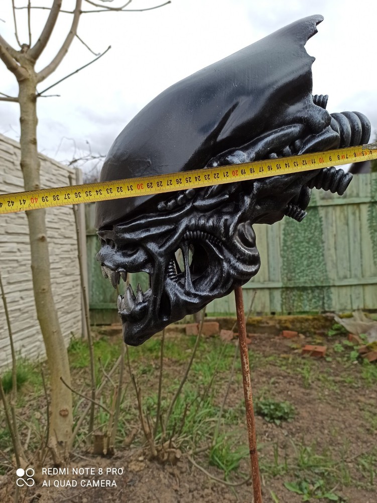 Alien / Xenomorph Romulus bust - head