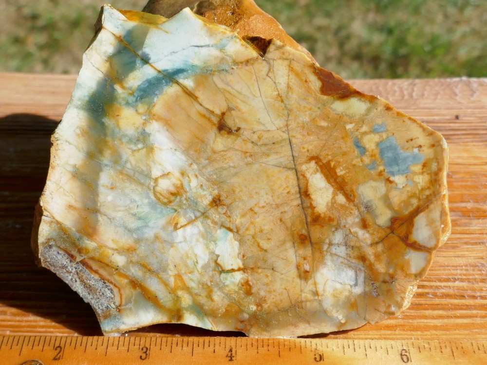 TCR Mohawk Jasper *Rough Slab 142g Multi-Color & Unique patterns | Oregon