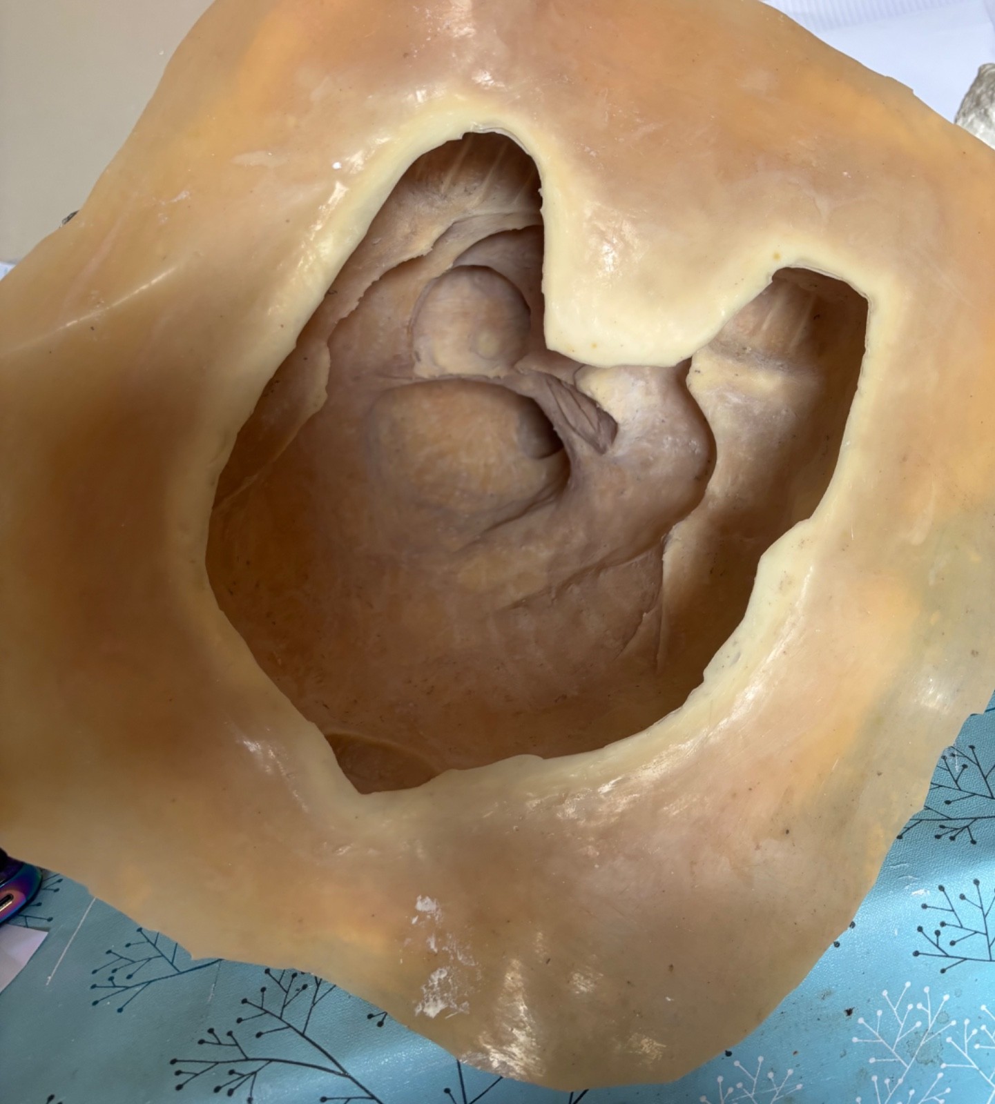 Latex mould WITH FOAM SUPPORT CASE for making this Stunning LARGE COW STATUE