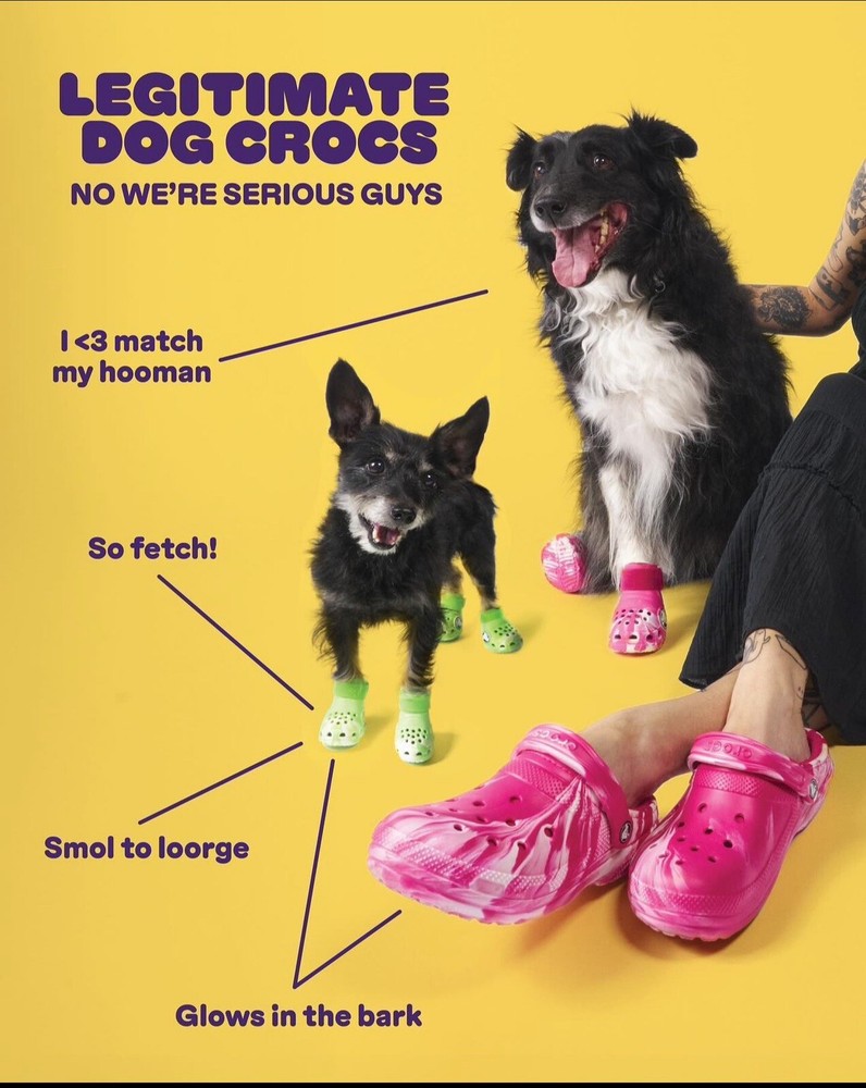 Crocs Pet Dog Boots Dragon / Medium / Large