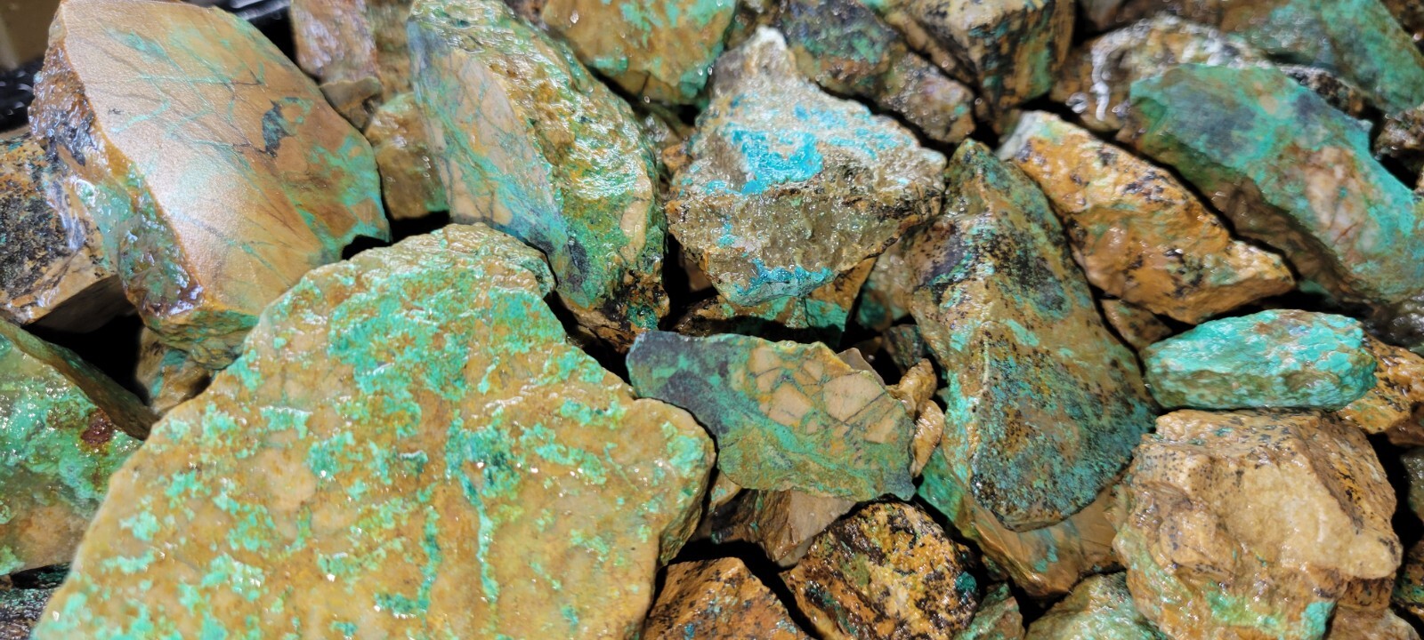 Natural Turquoise Rough Blue Silver Mine, Lone Mountain District NV - Half Pound