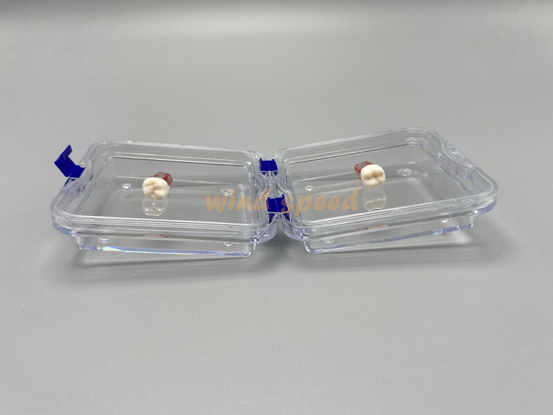 Denture Hinged Display Box Storage Jewelry Chip Boxes False Teeth Membrane Case