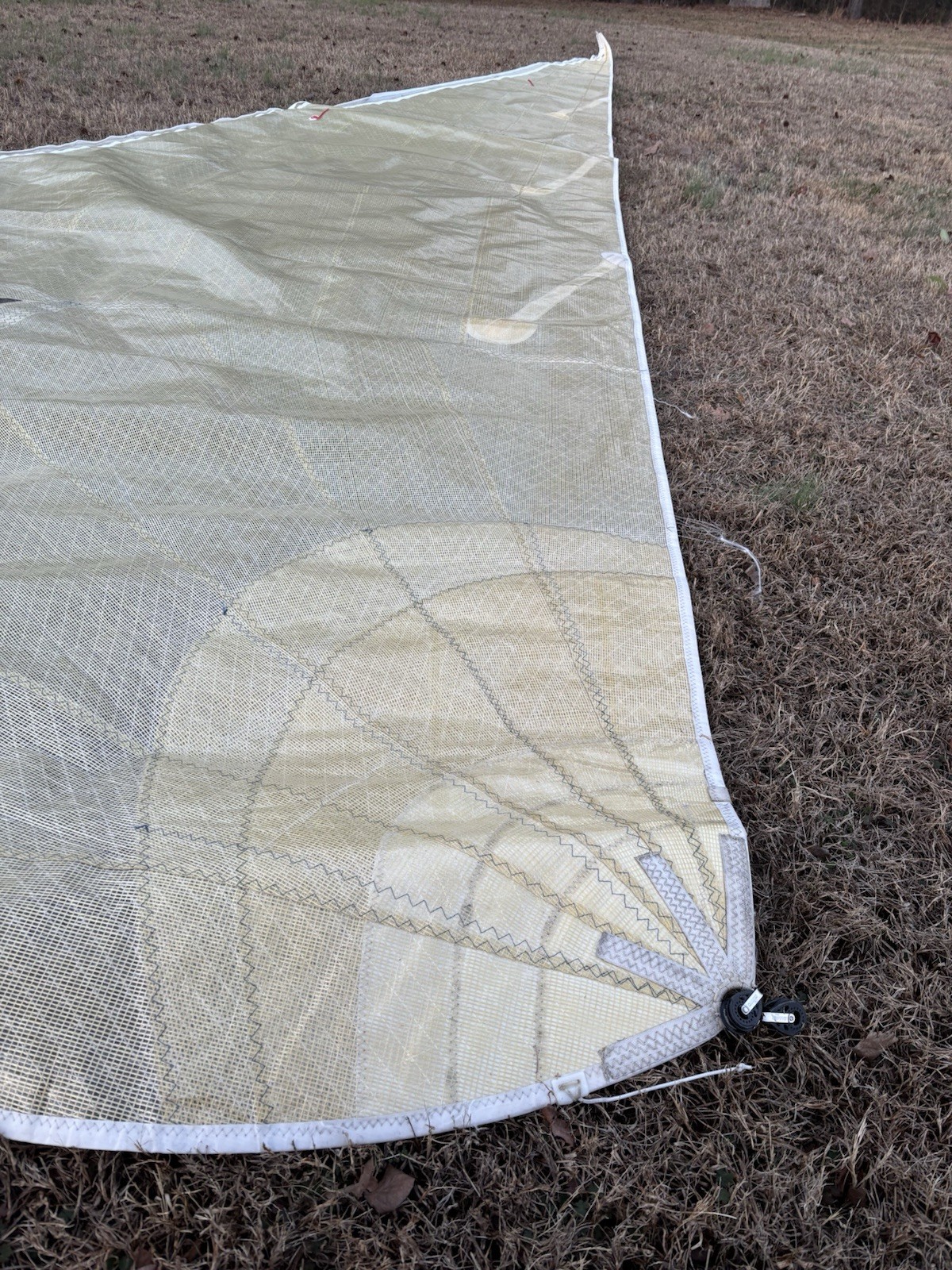 Melges 24 Jib North Sails