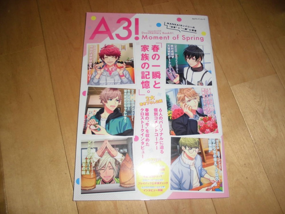 A3 Documentary Moment Spring