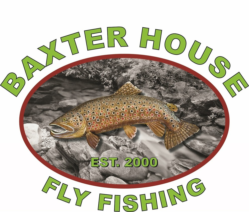 Mini Baitfish Streamer Fly, Salt Water Streamer Fly, E P Baitfish, Minnow Fly