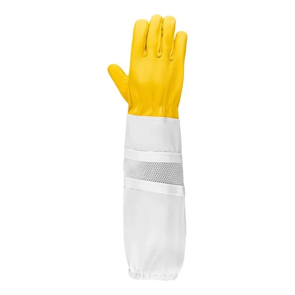 Children Cow Hide Ventilated Gloves