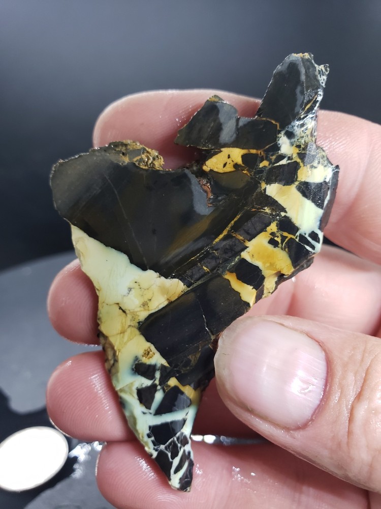 Nevada Gecko Variscite Slab