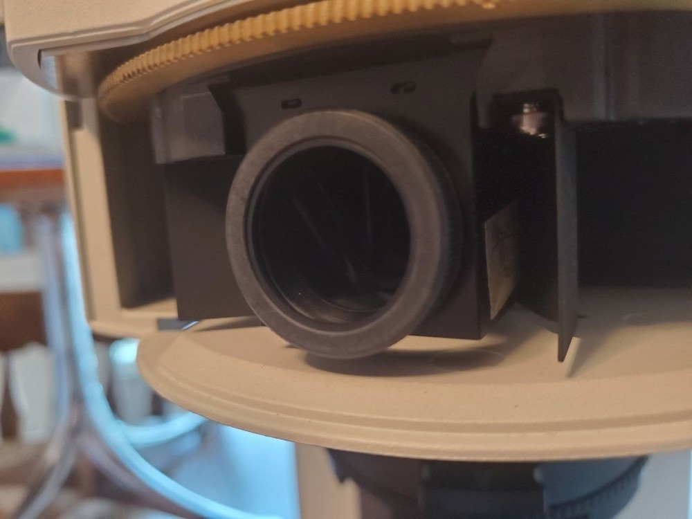 Nikon Eclipse 90i Fluorescence Microscope with Digital Imaging Head