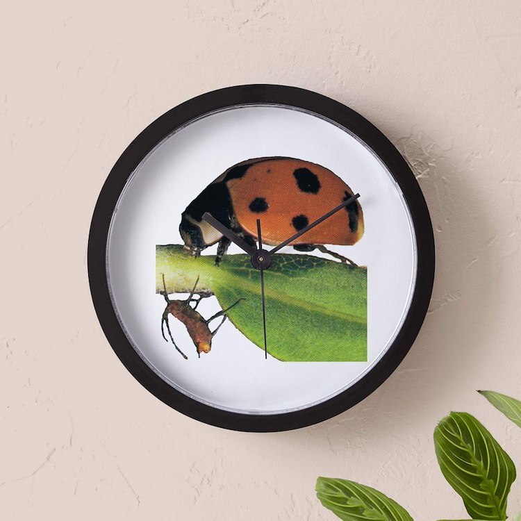 CafePress Ladybug And Aphid 10" Wall Clock (207562583)