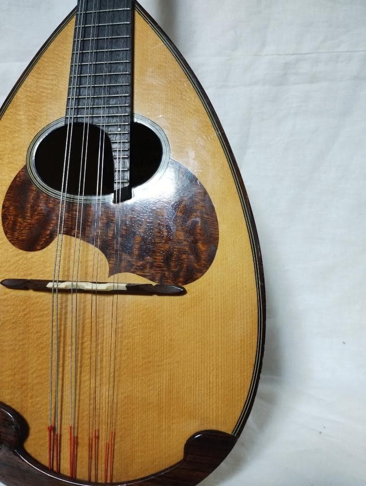 Suzuki Mandolin M-30