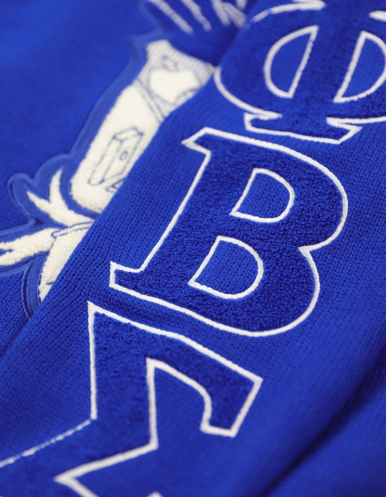 Phi Beta Sigma M5 V-neck Sweater Royal Blue