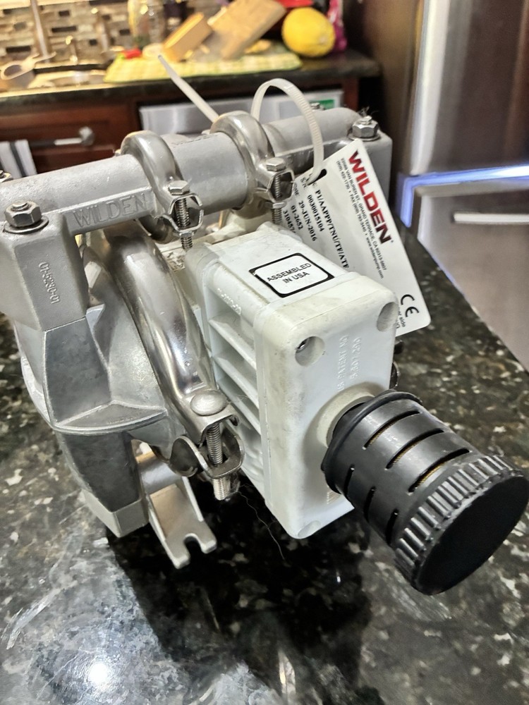 Wilden P1 Pump AAPPP/TNU/ATF