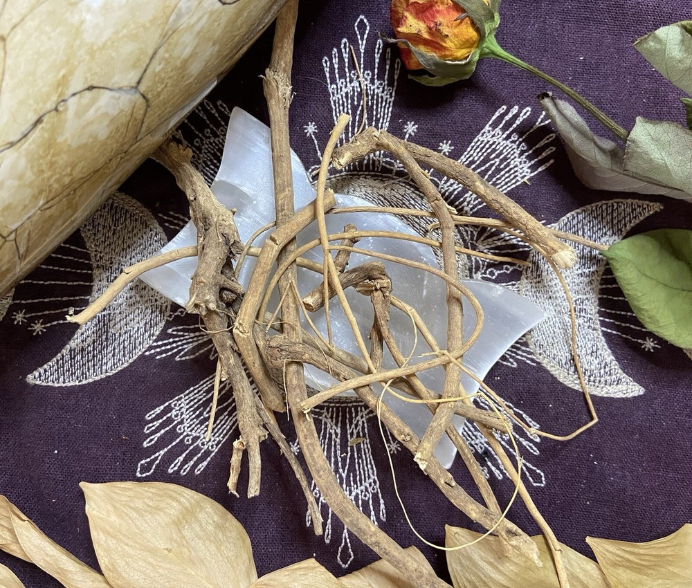 Devil’s Shoestring, Remove Negative Energy, Luck, Protection, Invisibility