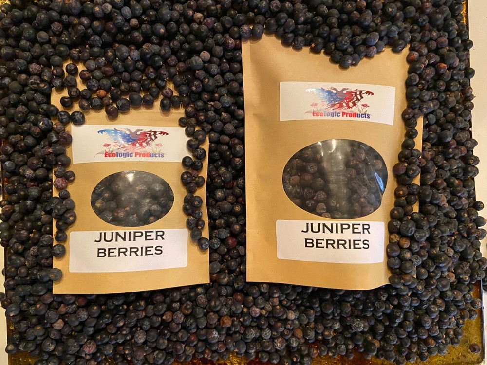 Juniper Berries Whole (Juniperus communis) 1 oz-3 lb; FreeShipping